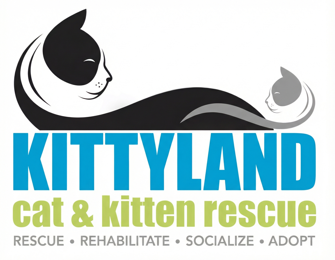 Privacy Policy | Kittyland Cat and Kitten Rescue | Desert Hot